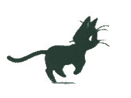 running cat gif
